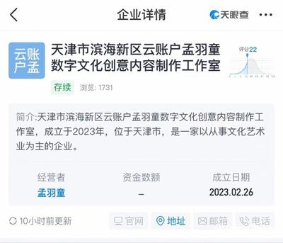 孟羽童考勤异常率超80%引热议，透视数字内容制作服务背后的管理与挑战